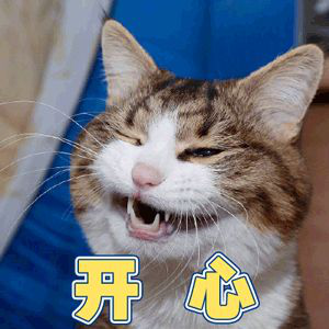 南京人的“裝修恐懼癥”，終于有救了