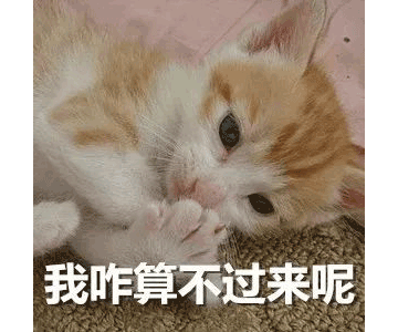 別等618了，本周末就能鎖定裝修優(yōu)惠！