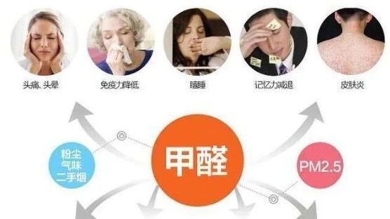 春季家裝節(jié)，綠色煥新月，優(yōu)惠享不停！