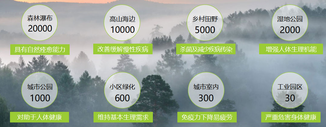 健康家居從墻面開(kāi)始！有了它，在家也能呼吸到大山里的空氣！