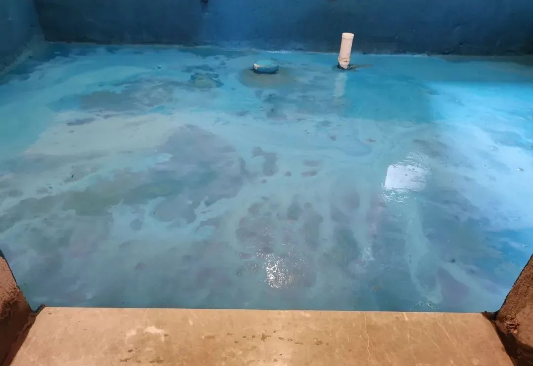 工地突擊巡檢｜沒想到，這家工地竟治愈了我的“強(qiáng)迫癥”
