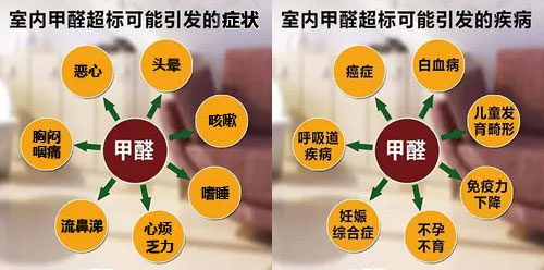 擔心家里甲醛超標，教您一招，安安心心住新家！