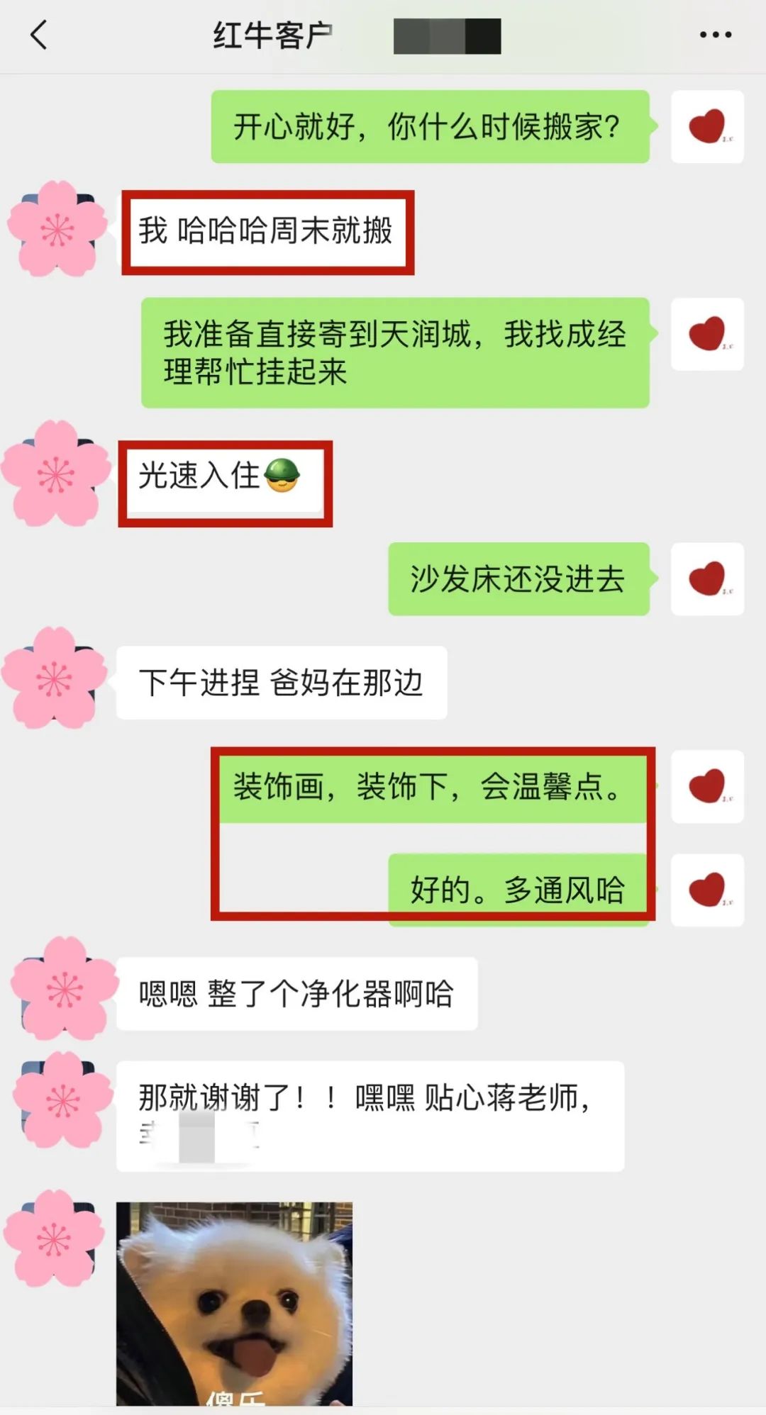 喜報(bào)｜金秋十月，收獲滿滿，紅牛裝飾再獲三面錦旗！